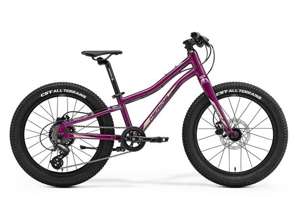 Велосипед Merida MATTS J.20+ (2022)